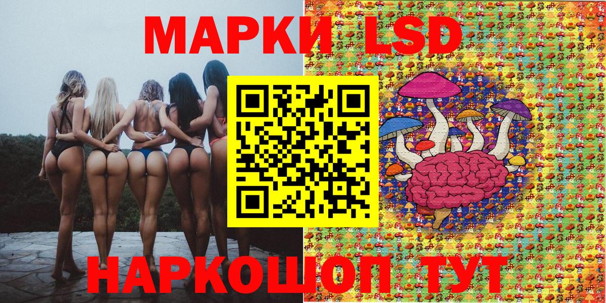 Галлюциногенные грибы Биробиджан