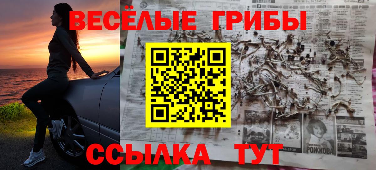 где купить наркоту  Вход с VPN  Биробиджан  Псилоцибиновые грибы Psilocybe  Псилоцибиновые грибы MAGIC MUSHROOMS 